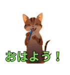 キティーキャットのデイリーライフ（個別スタンプ：6）