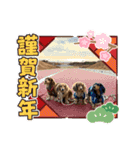 ぶんしゃんの冬（個別スタンプ：11）