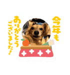 ぶんしゃんの冬（個別スタンプ：12）