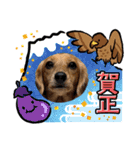 ぶんしゃんの冬（個別スタンプ：13）