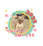 ぶんしゃんの冬（個別スタンプ：14）