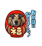 ぶんしゃんの冬（個別スタンプ：15）