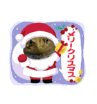 クリスマス＆お正月のカエルちゃんたち（個別スタンプ：1）