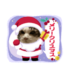 みんなでメリークリスマス（個別スタンプ：3）