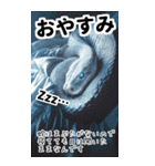 リアル白蛇ミームあけおめ対応（個別スタンプ：14）