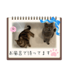 アサヒとユウヒ3（個別スタンプ：17）