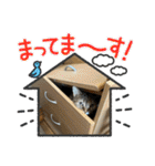 アサヒとユウヒ3（個別スタンプ：24）