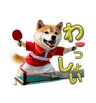 柴犬太の日常会話【卓球部】（個別スタンプ：5）