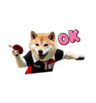 柴犬太の日常会話【卓球部】（個別スタンプ：6）