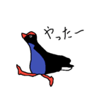 Pukeko's Family 2（個別スタンプ：1）