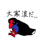 Pukeko's Family 2（個別スタンプ：10）