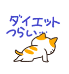 ダイエット！！おねこちん（個別スタンプ：24）