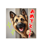 壁から覗く犬～シェパード～（個別スタンプ：3）