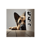 壁から覗く犬～シェパード～（個別スタンプ：9）