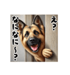 壁から覗く犬～シェパード～（個別スタンプ：12）