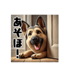 壁から覗く犬～シェパード～（個別スタンプ：13）