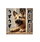 壁から覗く犬～シェパード～（個別スタンプ：17）