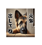 壁から覗く犬～シェパード～（個別スタンプ：20）