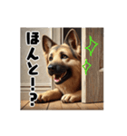 壁から覗く犬～シェパード～（個別スタンプ：23）