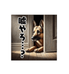 壁から覗く犬～シェパード～（個別スタンプ：24）