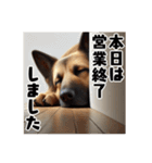 壁から覗く犬～シェパード～（個別スタンプ：28）