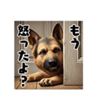 壁から覗く犬～シェパード～（個別スタンプ：30）