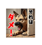 壁から覗く犬～シェパード～（個別スタンプ：31）