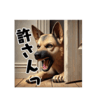 壁から覗く犬～シェパード～（個別スタンプ：32）