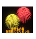 飛び出す⚡花火で盛大なお祝いと応援しよう（個別スタンプ：9）