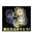 飛び出す⚡花火で盛大なお祝いと応援しよう（個別スタンプ：11）