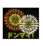 飛び出す⚡花火で盛大なお祝いと応援しよう（個別スタンプ：15）