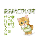 冬のキラキラおめめの子猫ちゃん（個別スタンプ：1）