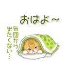 冬のキラキラおめめの子猫ちゃん（個別スタンプ：2）