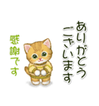 冬のキラキラおめめの子猫ちゃん（個別スタンプ：29）