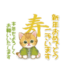 冬のキラキラおめめの子猫ちゃん（個別スタンプ：39）