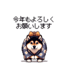 あけおめ 毎年使える太っちょ黒柴 キュート（個別スタンプ：5）