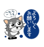 こんにチワワ★年末年始（個別スタンプ：33）