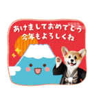 毎年使えるコーギーの年末年始あけおめ（個別スタンプ：2）