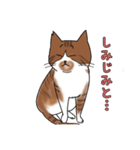 シミ付きねこ（個別スタンプ：1）