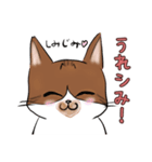 シミ付きねこ（個別スタンプ：4）