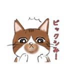 シミ付きねこ（個別スタンプ：7）