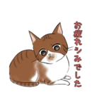 シミ付きねこ（個別スタンプ：13）