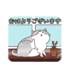 サバトラ白ねこ（個別スタンプ：6）