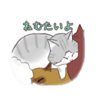 サバトラ白ねこ（個別スタンプ：14）