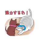 キジトラ（サビキジ）ねこ（個別スタンプ：7）