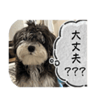 晴れ時々、レオ（個別スタンプ：8）