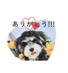晴れ時々、レオ（個別スタンプ：10）