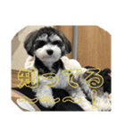 晴れ時々、レオ（個別スタンプ：14）