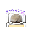 動くモコまる（個別スタンプ：1）