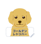 色んな大型犬のメッセージスタンプ（個別スタンプ：1）